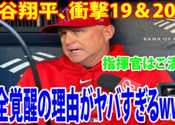 1694689829_maxresdefault-2208925-3566093-jpg