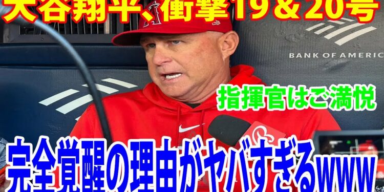 1694689829_maxresdefault-2208925-3566093-jpg