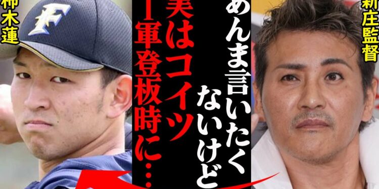 1694805301_maxresdefault-4200856-5677172-jpg