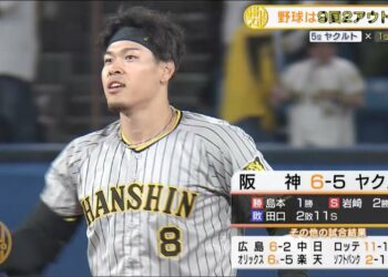 1694949605_maxresdefault-8608597-4276056-jpg