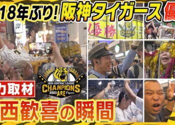 1695180477_maxresdefault-6141796-2322542-jpg