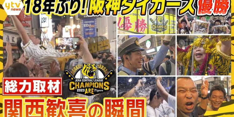 1695180477_maxresdefault-6141796-2322542-jpg