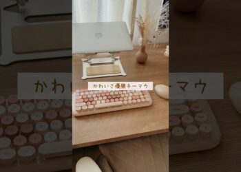 1695547244_maxresdefault-4792188-3549082-jpg