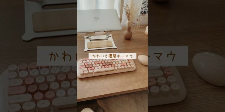 1695547244_maxresdefault-4792188-3549082-jpg