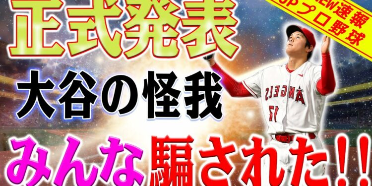 1695642346_maxresdefault-1210458-1272059-jpg