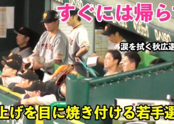 1695815520_maxresdefault-2638252-9521509-jpg