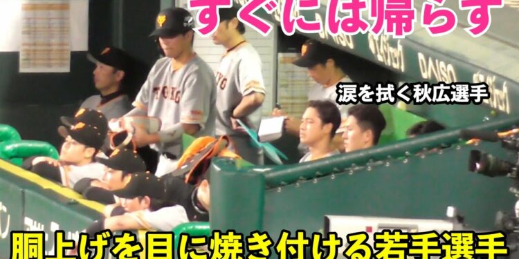 1695815520_maxresdefault-2638252-9521509-jpg