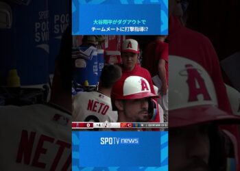 1695844384_maxresdefault-3664469-2582024-jpg