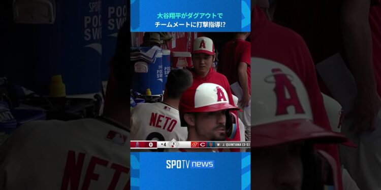 1695844384_maxresdefault-3664469-2582024-jpg