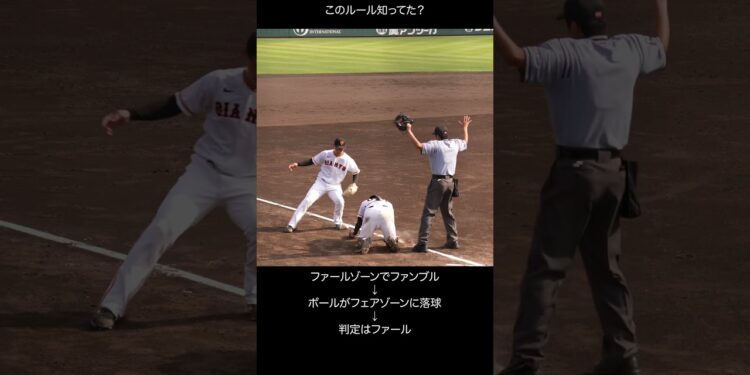 1696075310_maxresdefault-1962552-2025435-jpg