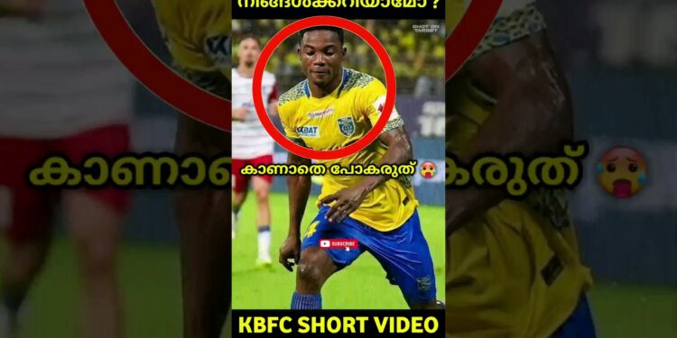 1696854707_maxresdefault-9531138-1600909-jpg