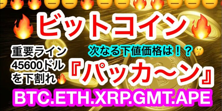 1697574312_maxresdefault-4056541-2183263-jpg