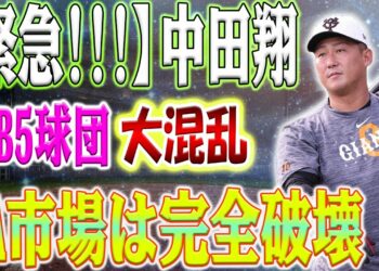 1698153542_maxresdefault-1319912-1022345-jpg