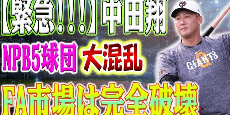 1698153542_maxresdefault-1319912-1022345-jpg