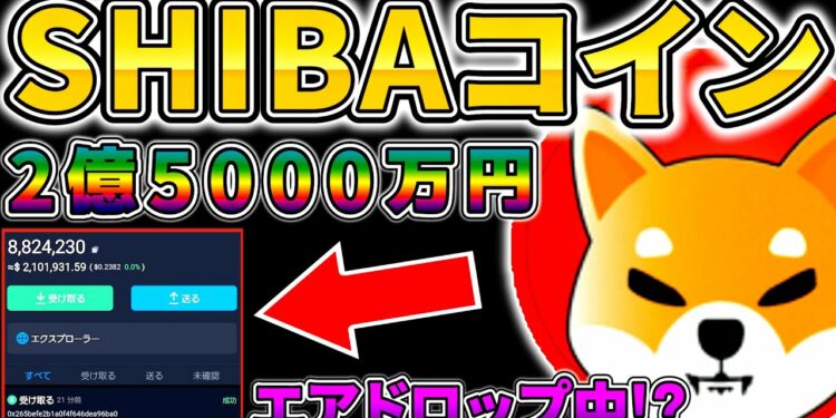 1698209403_maxresdefault-2342988-2444614-jpg