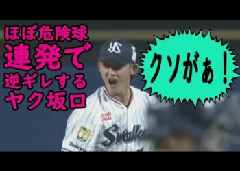 1698355615_hqdefault-6375155-9787450-jpg