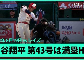 1698875156_maxresdefault-9703881-5310694-jpg