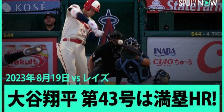 1698875156_maxresdefault-9703881-5310694-jpg