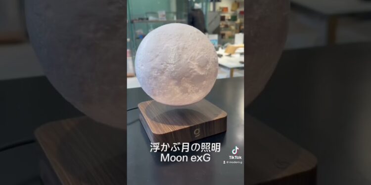 1699250061_maxresdefault-9496847-3346766-jpg