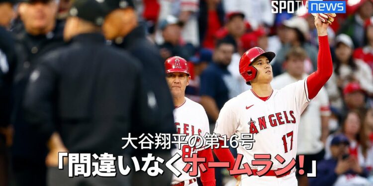 1699307997_maxresdefault-3442958-8370838-jpg