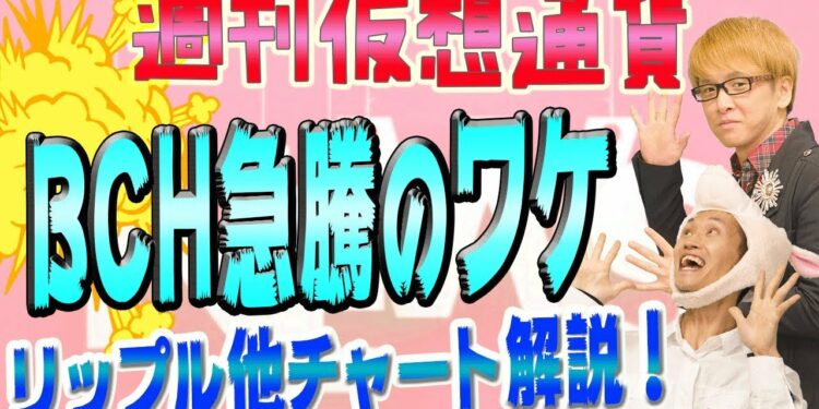 1699421722_maxresdefault-3692565-5361148-jpg