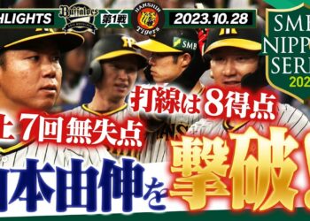 1699423435_maxresdefault-3733517-1465039-jpg