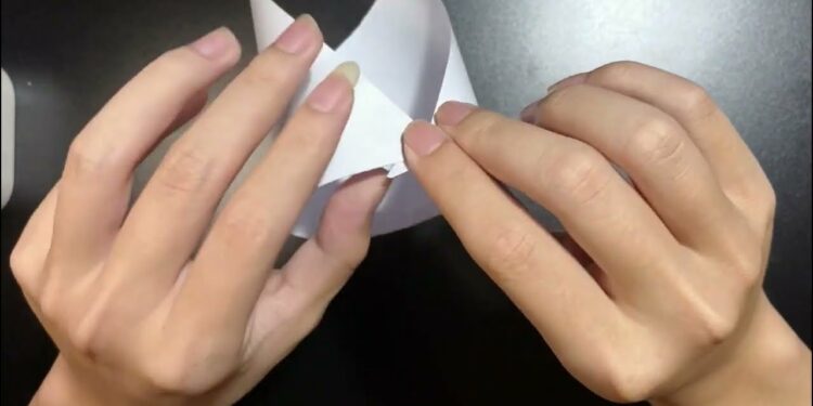 1699942978_maxresdefault-6261718-6278098-jpg