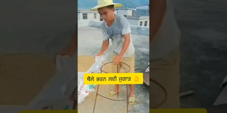 1700094113_maxresdefault-3141204-2084191-jpg