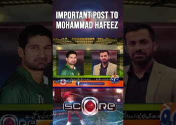 1700202736_maxresdefault-1806836-2145012-jpg