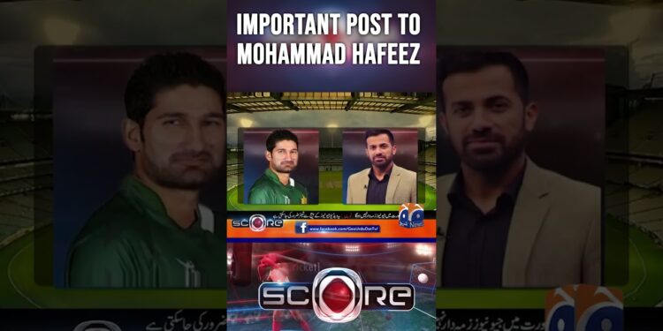 1700202736_maxresdefault-1806836-2145012-jpg