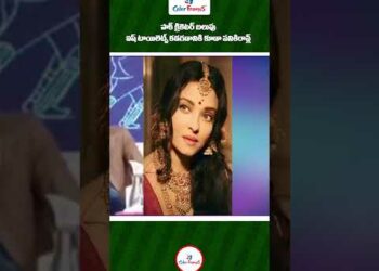 1700231602_hqdefault-5599752-5013669-jpg