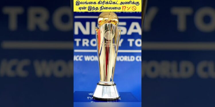 1700318154_maxresdefault-2871699-5029166-jpg