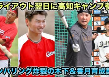 1700347017_maxresdefault-8157685-6555641-jpg