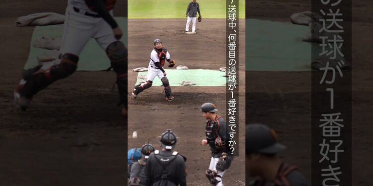 1700462477_maxresdefault-9740001-1054415-jpg