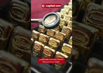 1700560393_maxresdefault-2404917-9444368-jpg