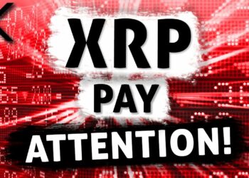 1700662749_maxresdefault-7560068-3157139-jpg