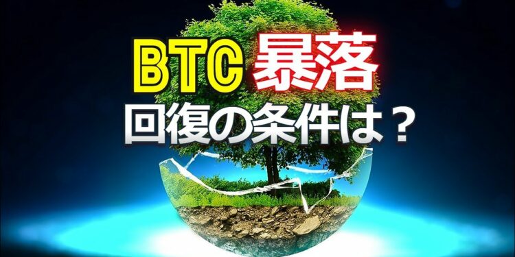 1701095733_maxresdefault-3243626-1094995-jpg