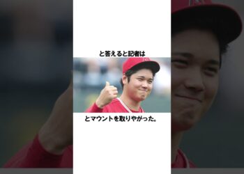 1701241915_maxresdefault-1477483-4746194-jpg