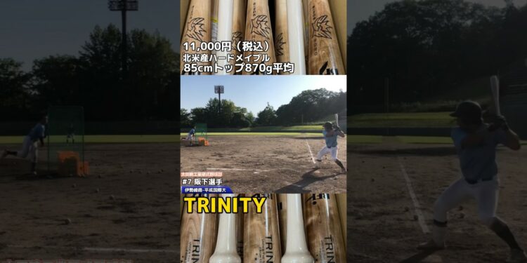 1701328451_maxresdefault-8449246-2321537-jpg