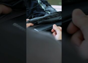 1701457799_maxresdefault-2395169-8132296-jpg