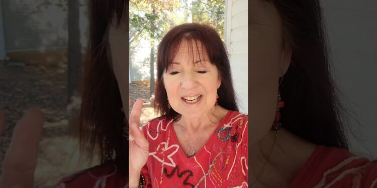 1701598803_maxresdefault-2491056-3216307-jpg