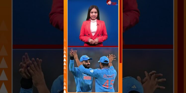 1701761345_maxresdefault-6394098-1728295-jpg