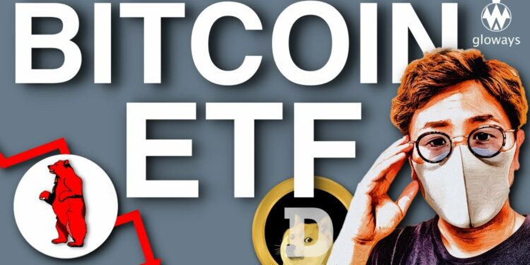 1701875104_maxresdefault-1304759-4514204-jpg