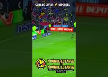 1701876839_maxresdefault-3427251-5811666-jpg