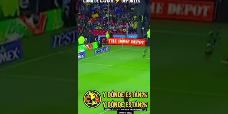 1701876839_maxresdefault-3427251-5811666-jpg