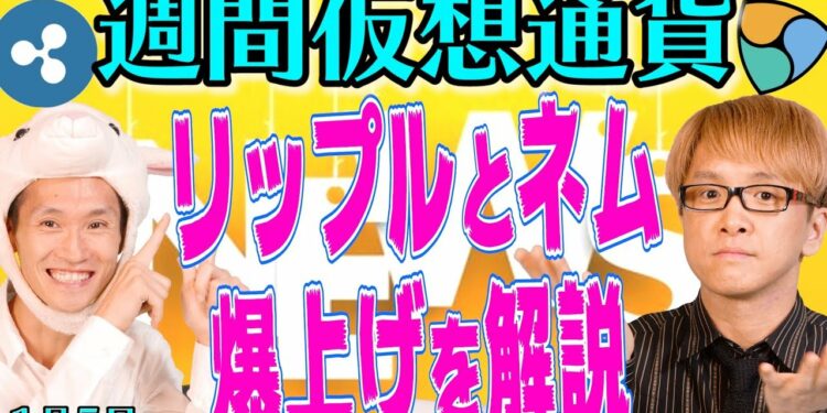 1702134911_maxresdefault-8031495-6940760-jpg