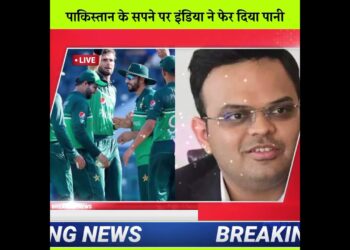 1702194365_maxresdefault-7312542-3859153-jpg