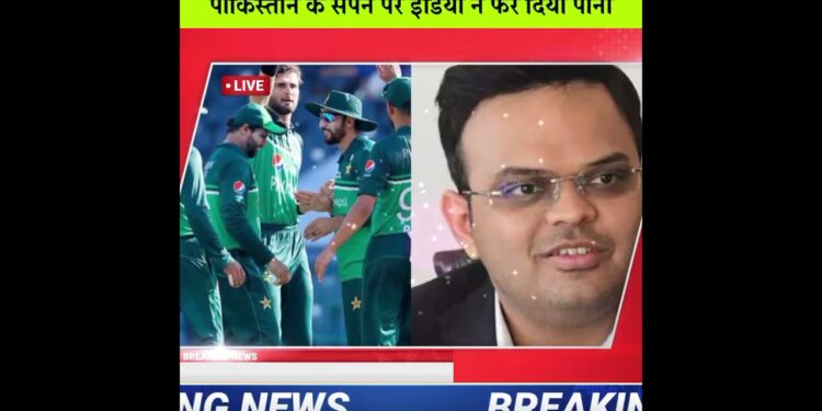 1702194365_maxresdefault-7312542-3859153-jpg