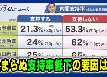 1702247929_maxresdefault-6229092-3783012-jpg