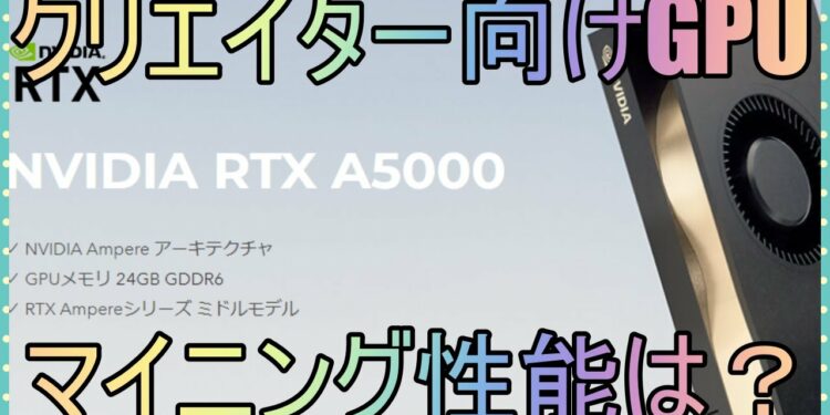 1702279196_maxresdefault-2607678-1371299-jpg